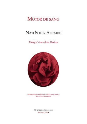 MOTOR DE SANG