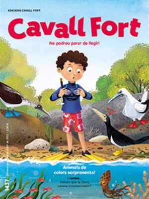 CAVALL FORT 1437