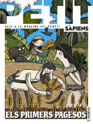 PETIT SÀPIENS 64