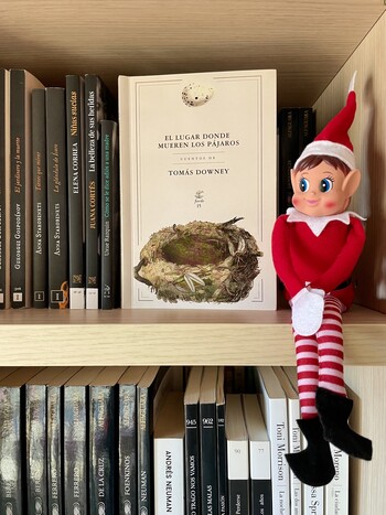 EL LUGAR DONDE MUEREN LOS PÁJAROS